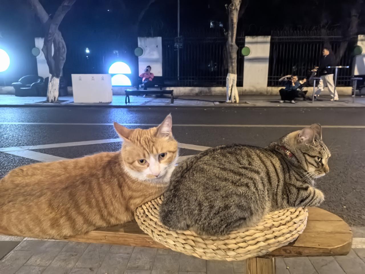 最近日本女孩们用手和臀部摆出爱心形状，而且非常流行，但我这里不能放图片，大家可以