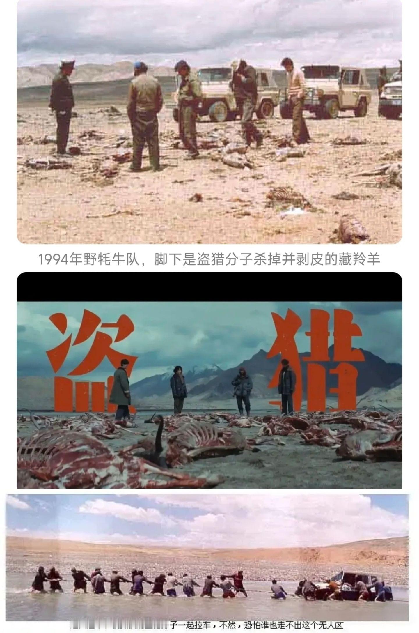 《生命树》剧组严谨到一个镜头都是有出处的！