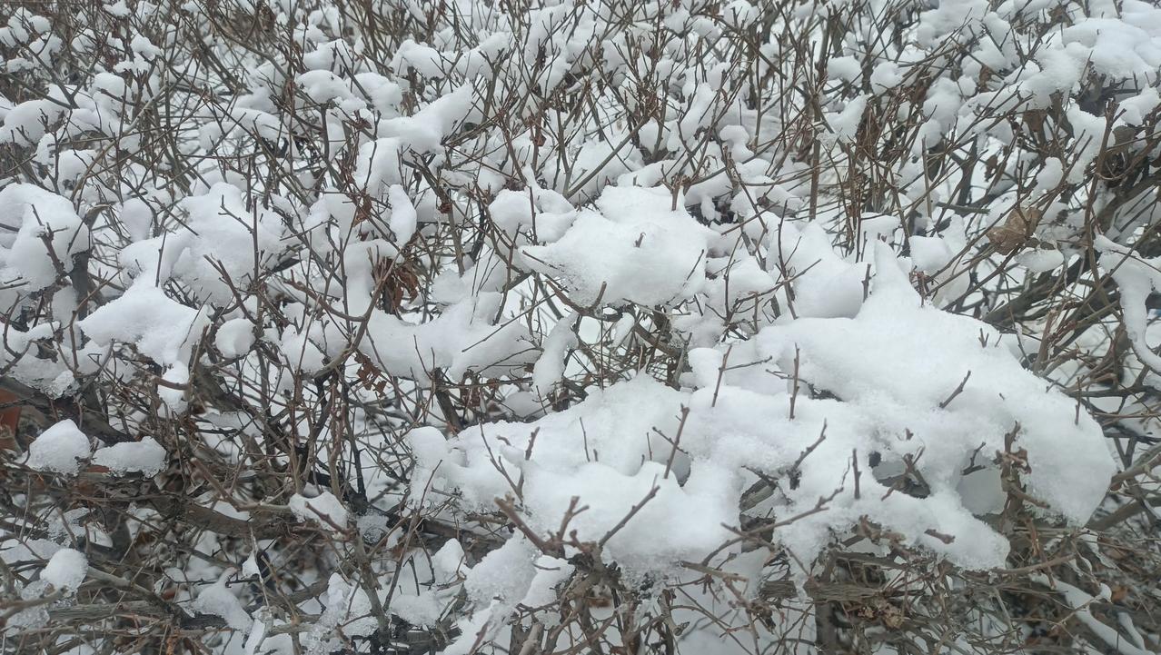 春运的终点，正在从“团圆”变成“遗址”。有网友发文说，对于最后一批父母还在老家的