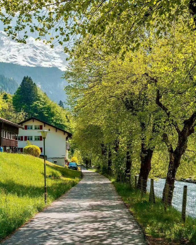 春日瑞士，那种悠然自得的美，让人找到久违的感动！