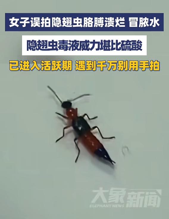 “悲剧还是发生了！”5月29日报道，浙江义乌，一女子见窗边有小虫，随手就给拍死了
