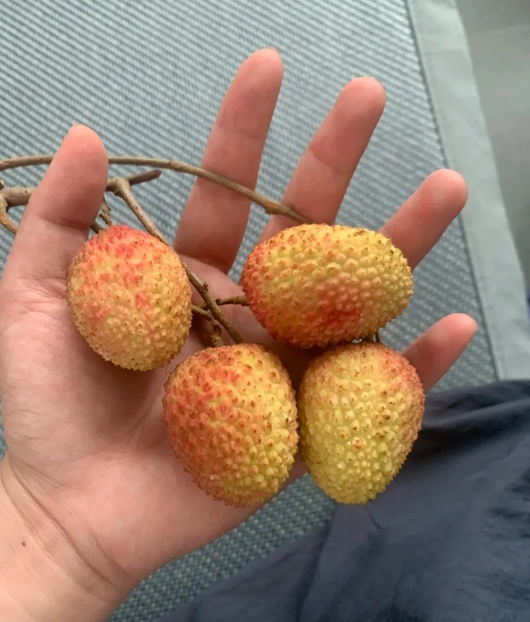 今天在孩子老师家吃到个神奇荔枝！剥开壳香味直往鼻子里钻，果肉甜到像含着糖块儿，