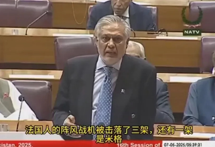 真是太凡尔赛了！巴基斯坦外长这话简直就是杀人诛心！巴基斯坦外长伊沙克·达尔七