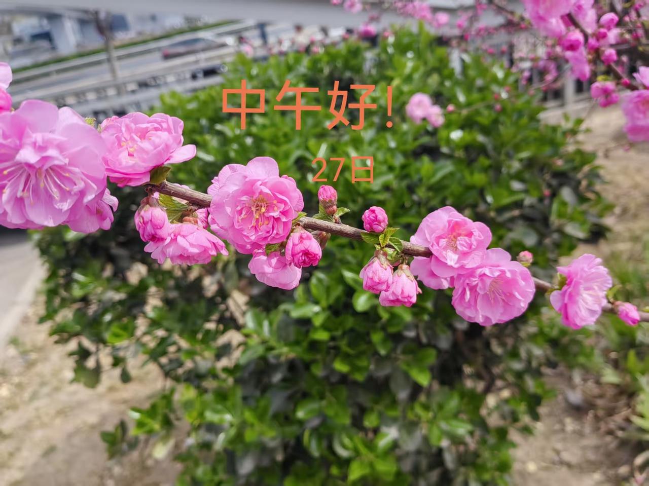 上海某研究所所长的污言秽语沦为大家的笑柄！在饭局上这位博士所长，对女下属不怀