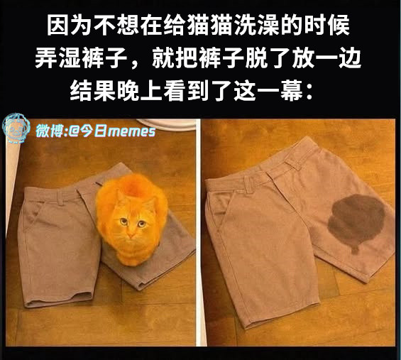 不少你的（9gag）哎呀