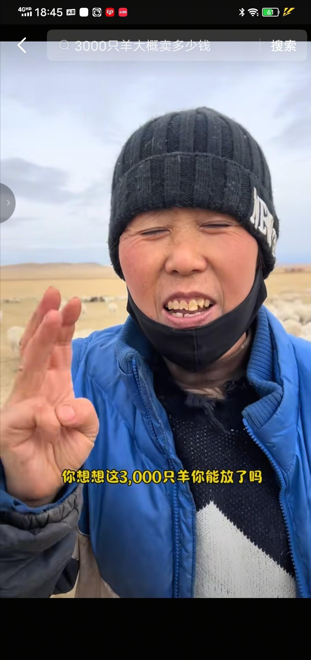 在内蒙古放牧1000多只羊的一位大姐告诉网友，千万不要去帮内蒙古那个老板放羊，别