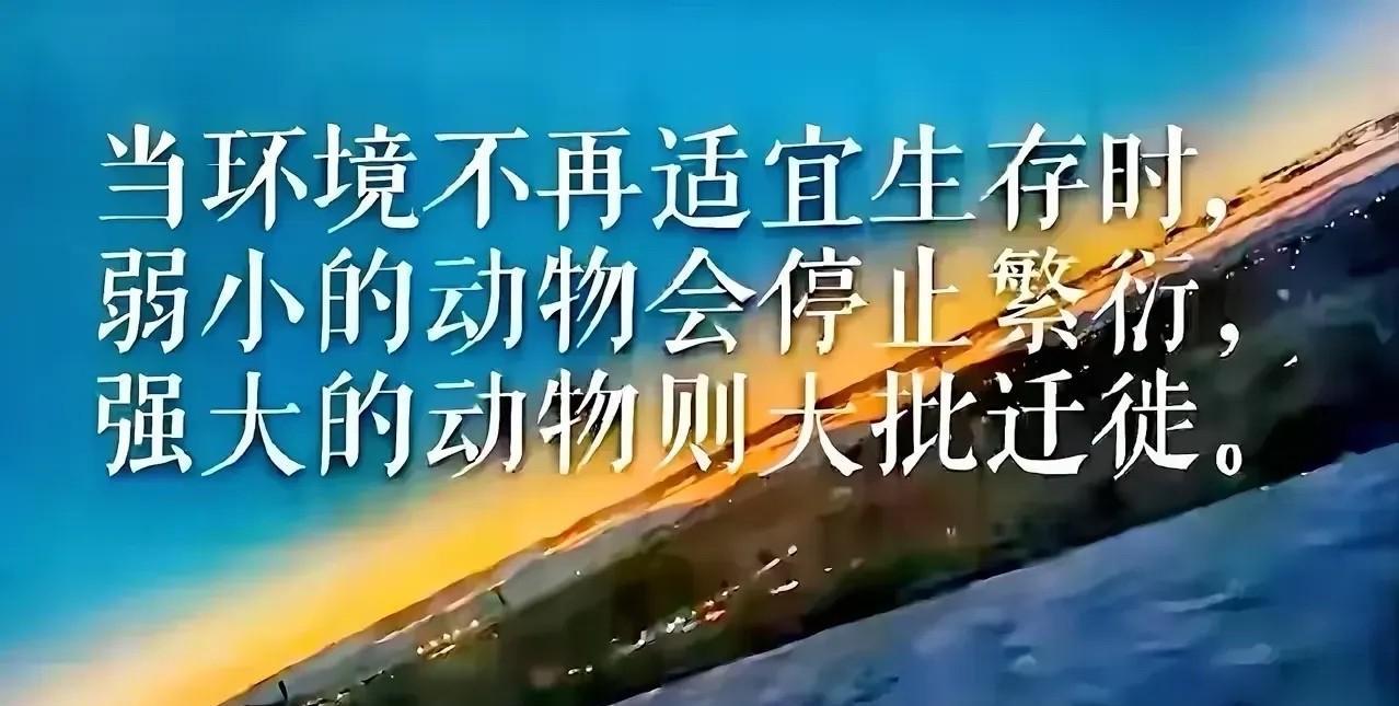当环境不再适宜生存时，人心惶惶；弱小的动物会停止繁衍，逼不得已；强大的动物则