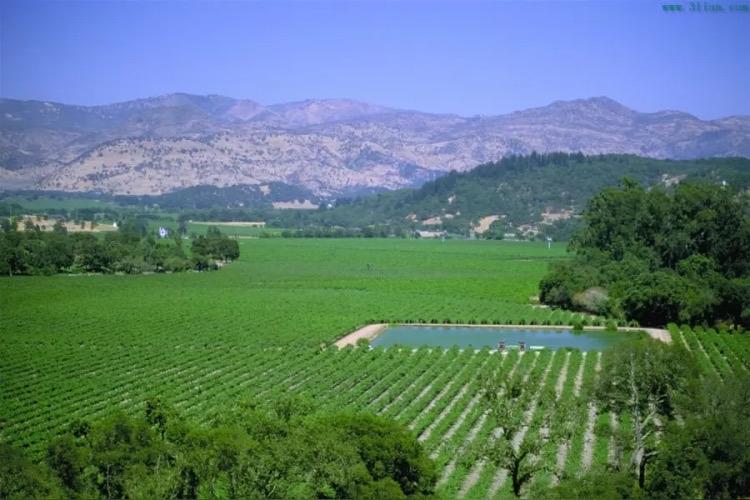 上个世纪八九十年代，军营伙食跟现在的没法比，经历过那个年代的老兵，每每看到现在军