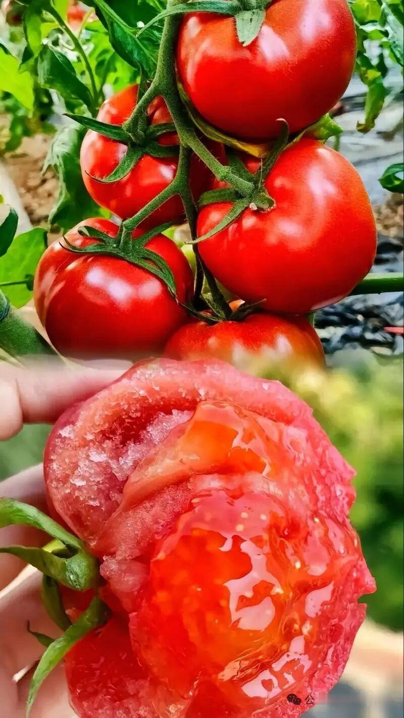孔子传世“八不食”千年饮食智慧，到老都受用《论语·乡党》记载孔子八不食