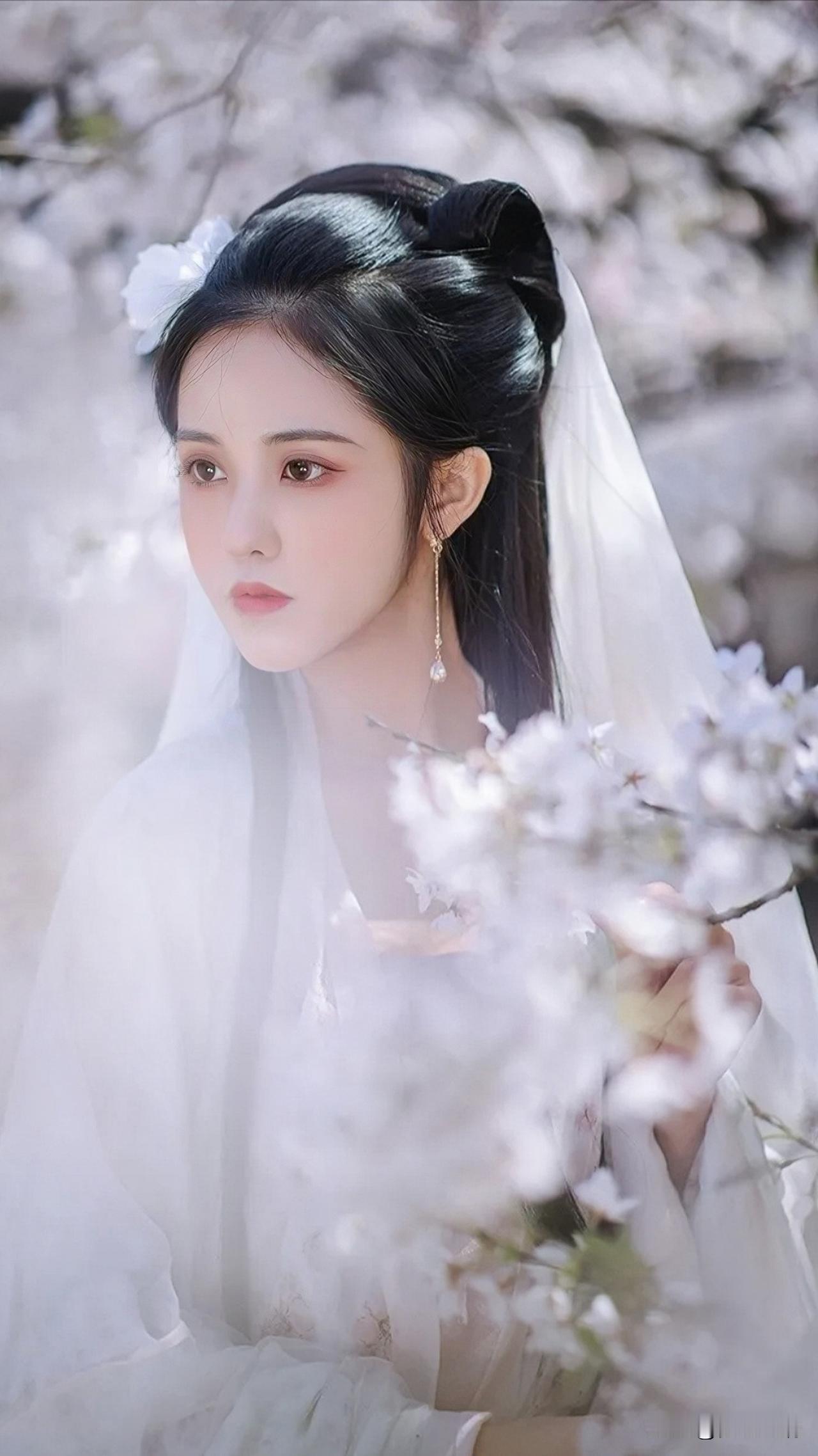 樱花树下，温柔如梦，少女心事，静谧如画。