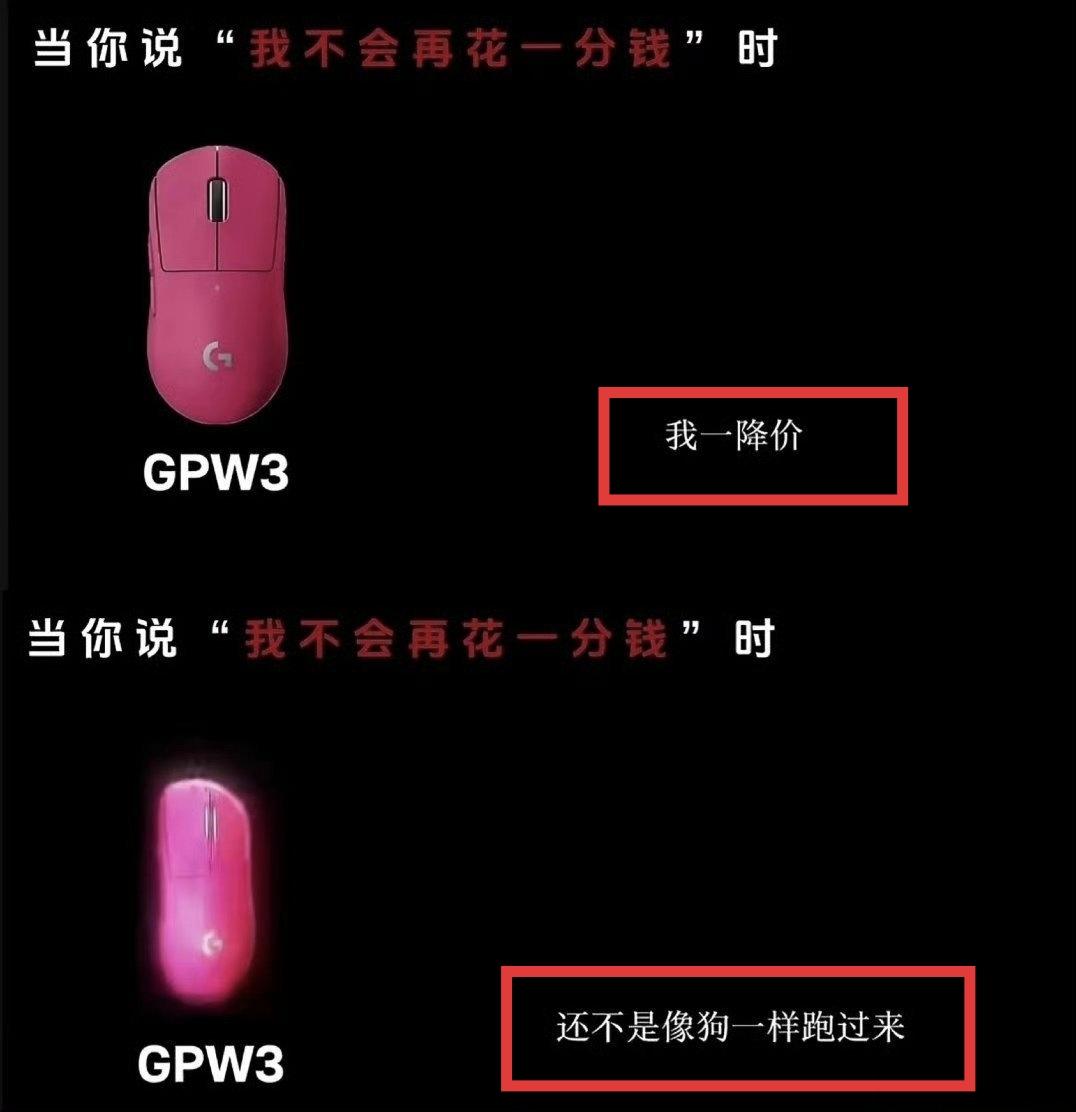 罗技鼠标，请问是谁给你的自信和胆子？竟然公然辱骂用户像狗！是曾经的行业地位？