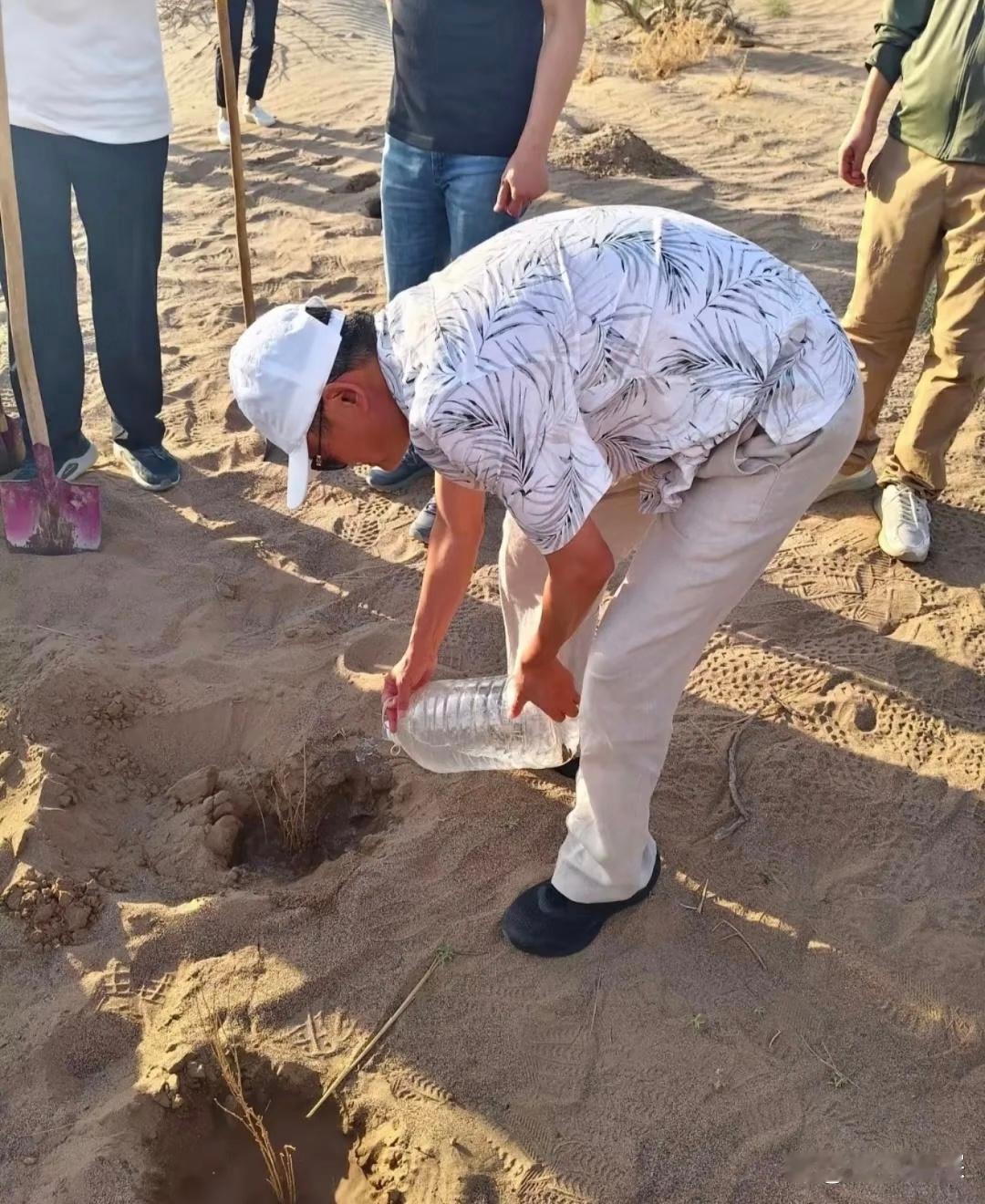 马云现身甘肃治沙公益，沙漠烈日下亲手植树，席地和村民吃西瓜，毫无排场十分亲民。