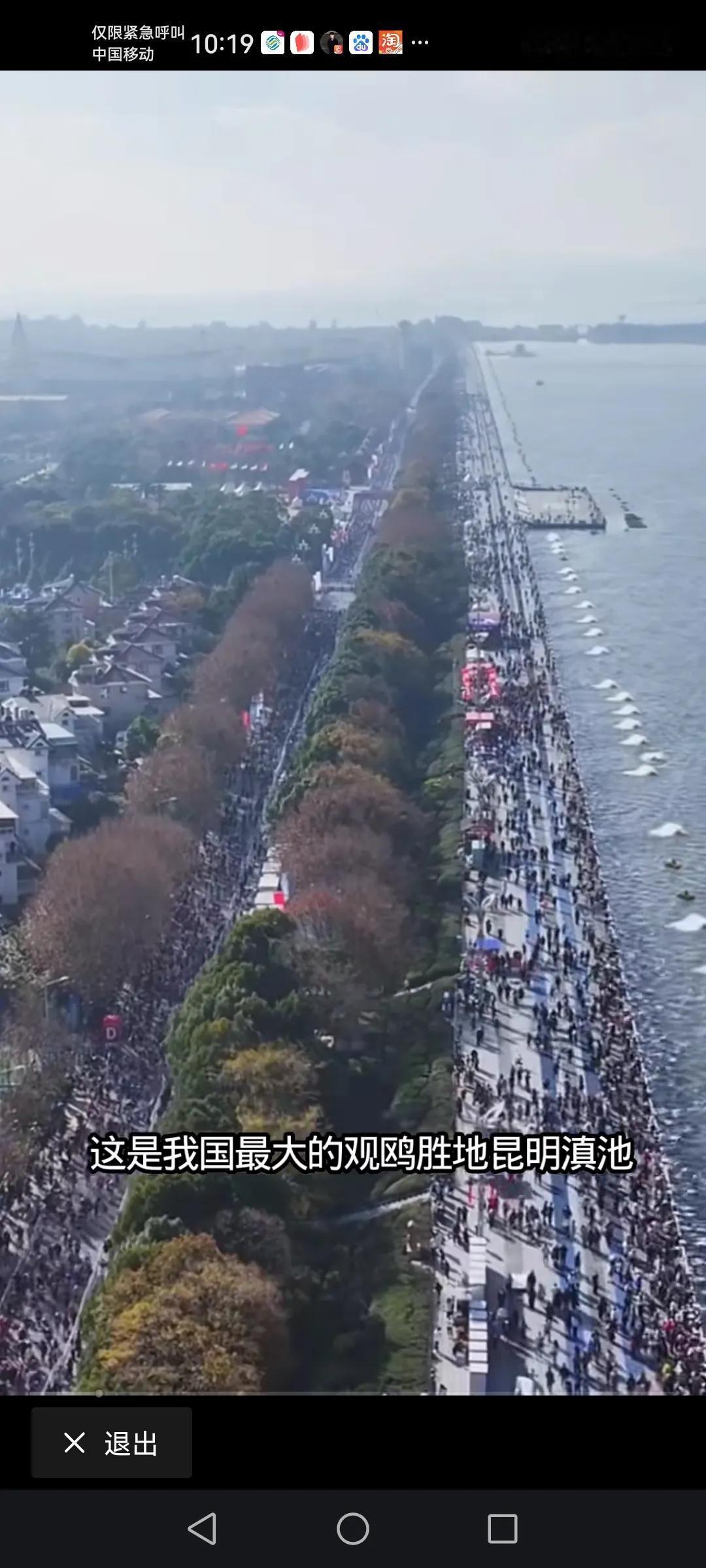 一年一度的观鸥季度已经到来，作为全国享有最佳观鸥的云南昆明海埂大坝的海鸥真的，比