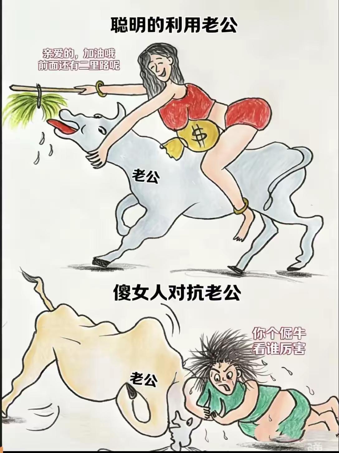 男人都是顺毛驴。驾驭有术的女人，顺着男人的性子，给男人一个温暖的眼神，知冷知热