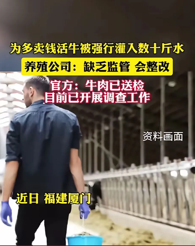 一觉醒来，经常吃牛肉的人沉默了!近日，福建厦门，有市民爆料称在一处高速大桥下