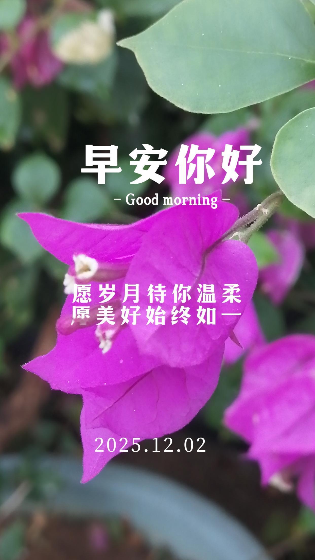 早安朋友！早安早安今天早安好心情今日暖心的问候