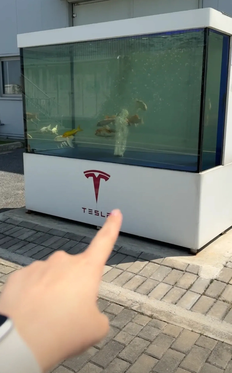 前几天去特斯拉上海超级工厂参观，没想到在这个以生产智能电动车而闻名的工厂里看到了