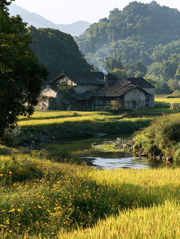 小院｜山野古村，藏于山林的古村落🏡