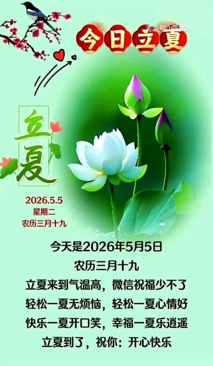 朋友圈又被这股“立夏风”吹得满屏皆诗。看着那满屏的“鹏展翼”、“破苍芒”、“不
