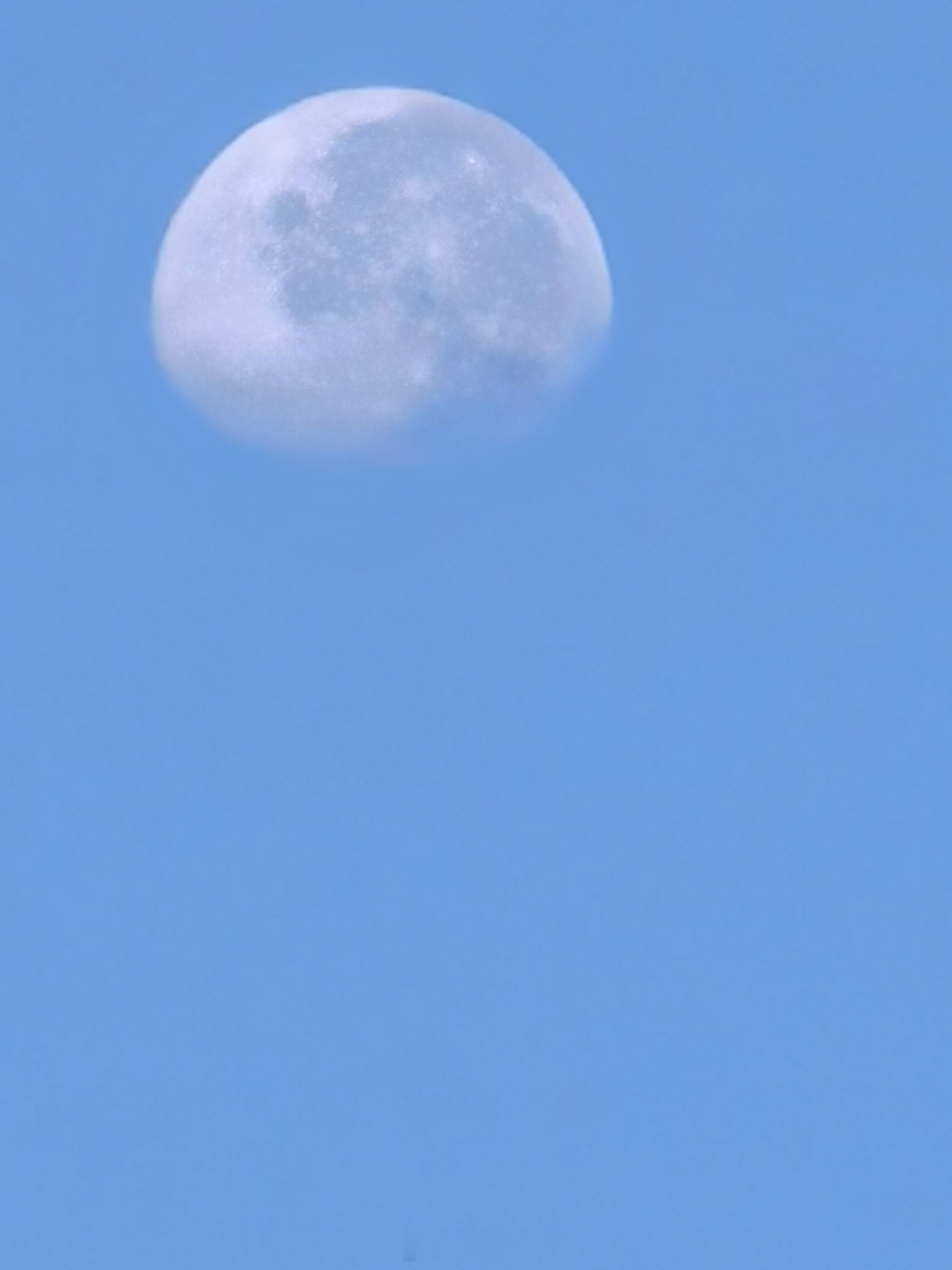 早晨的月亮。​​​