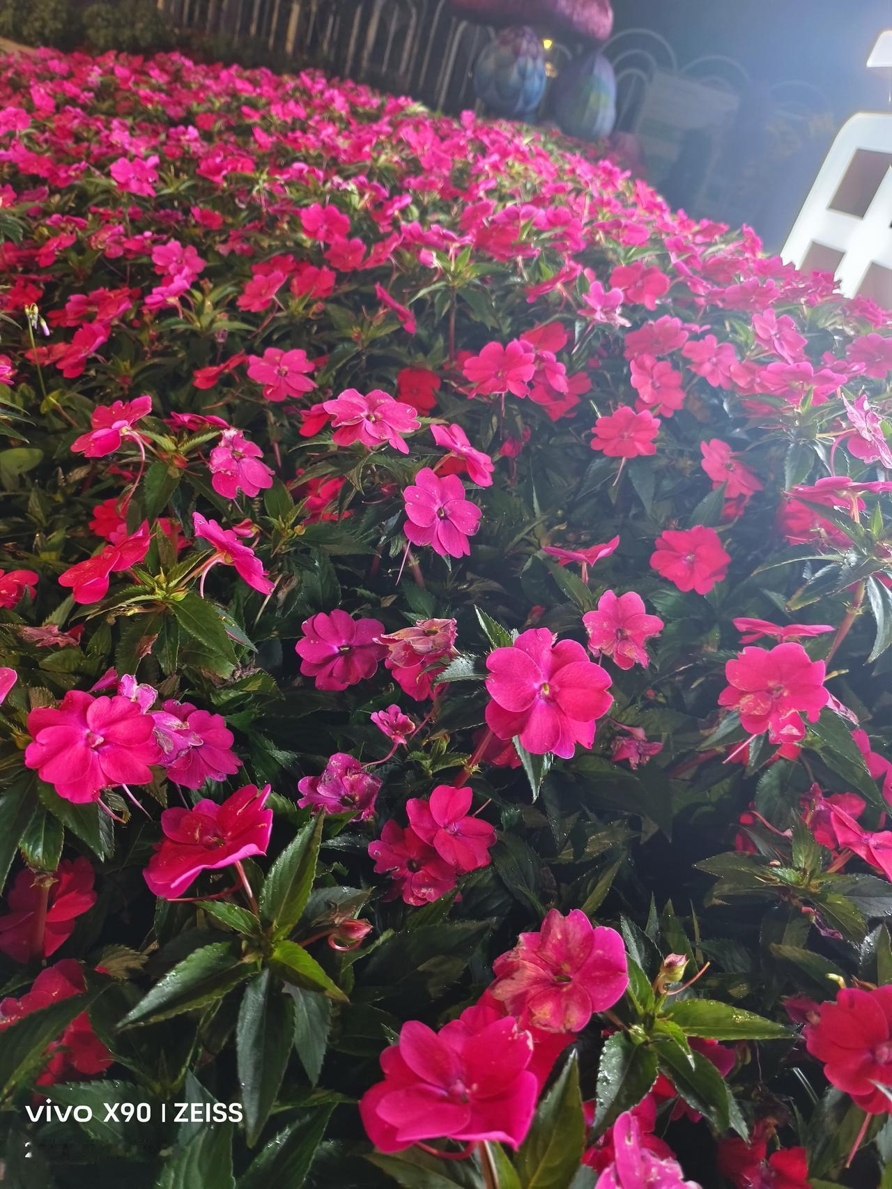 刚刚被人民日报这段话治愈了“如果你是一个普通的父母，没有什么优秀的资源和太多