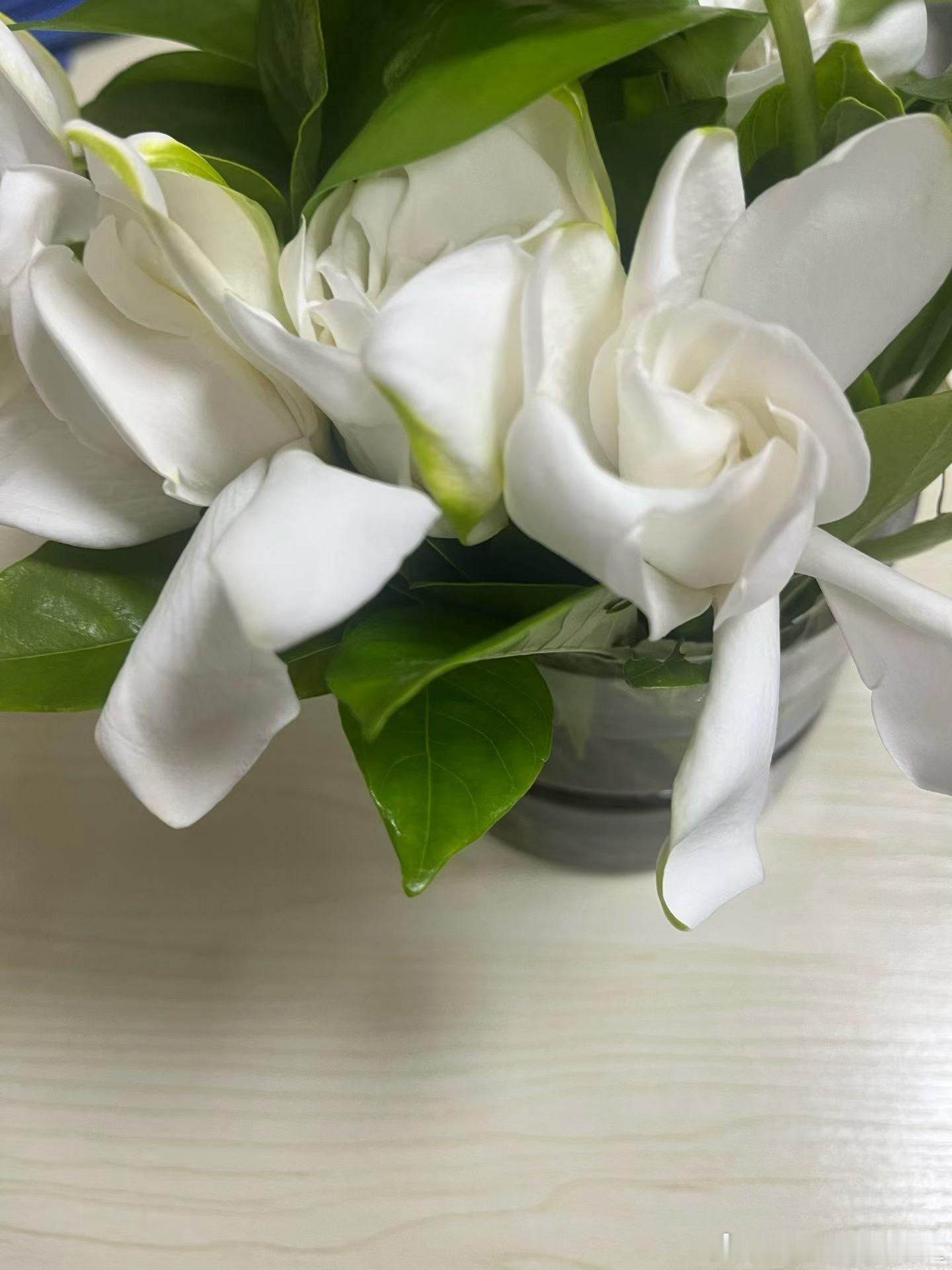 每日一善见人困顿，不生轻视；见人得意，不起嫉妒；见人修行，常怀随喜。这三见功