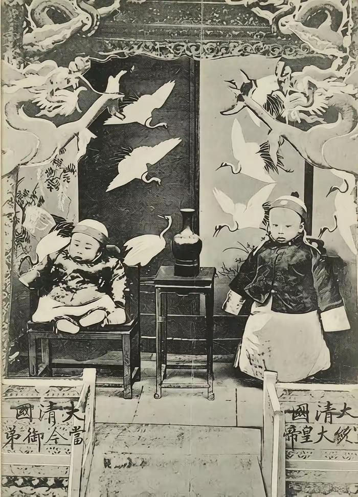 1909年，刚登基几个月的3岁溥仪，和2岁的胞弟溥杰在龙鹤祥云的宫廷布景前拍了张