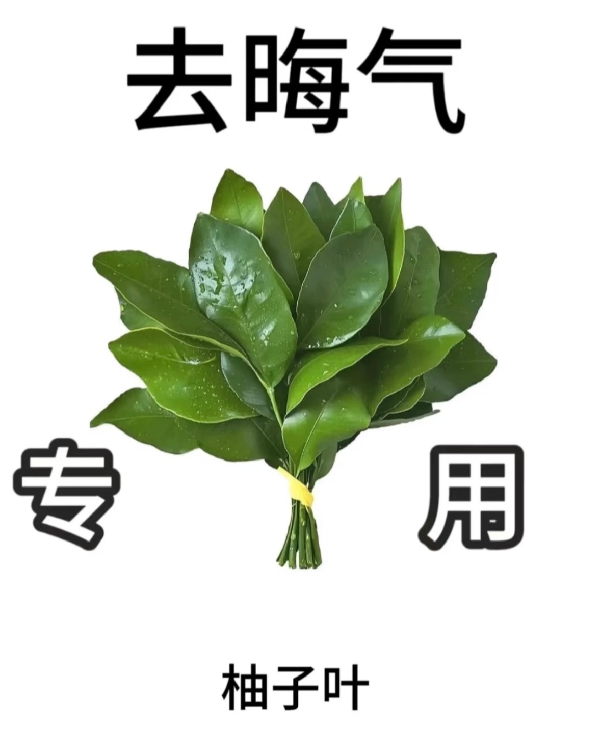 来来来东毛们，我们真得跨火盆去一下了