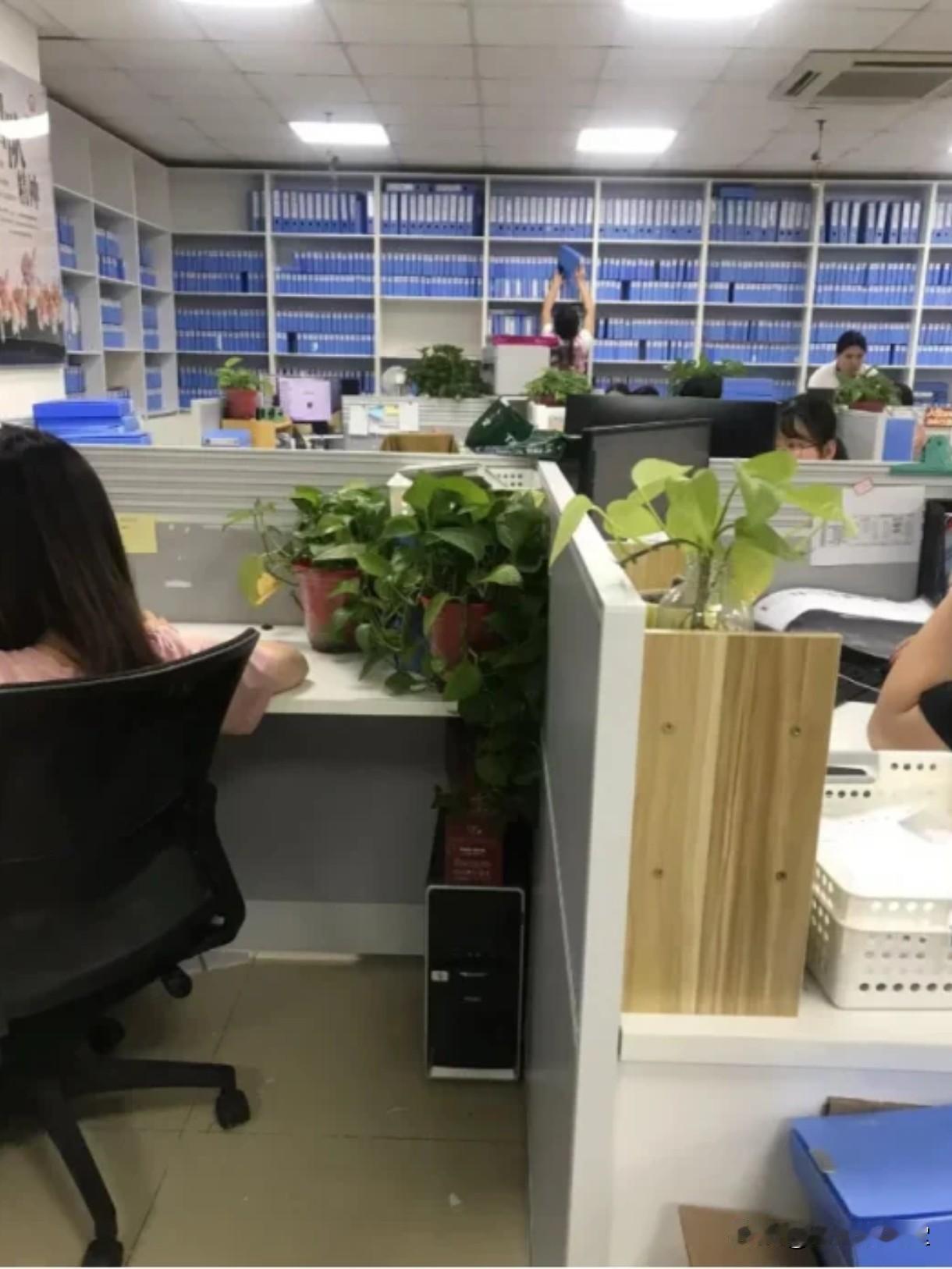 职场最顶级的智慧：阴招不用，但套路要懂无数人职场吃亏的真相：心眼太实、嘴巴