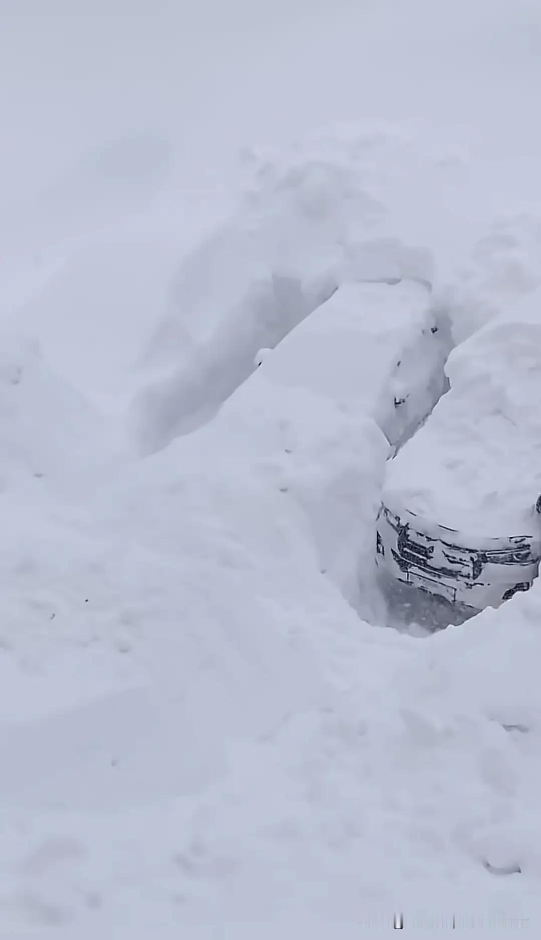 山东下大雪把车都埋了1月17-19日，山东遭遇大范围雨雪冰冻天气，济南、泰安