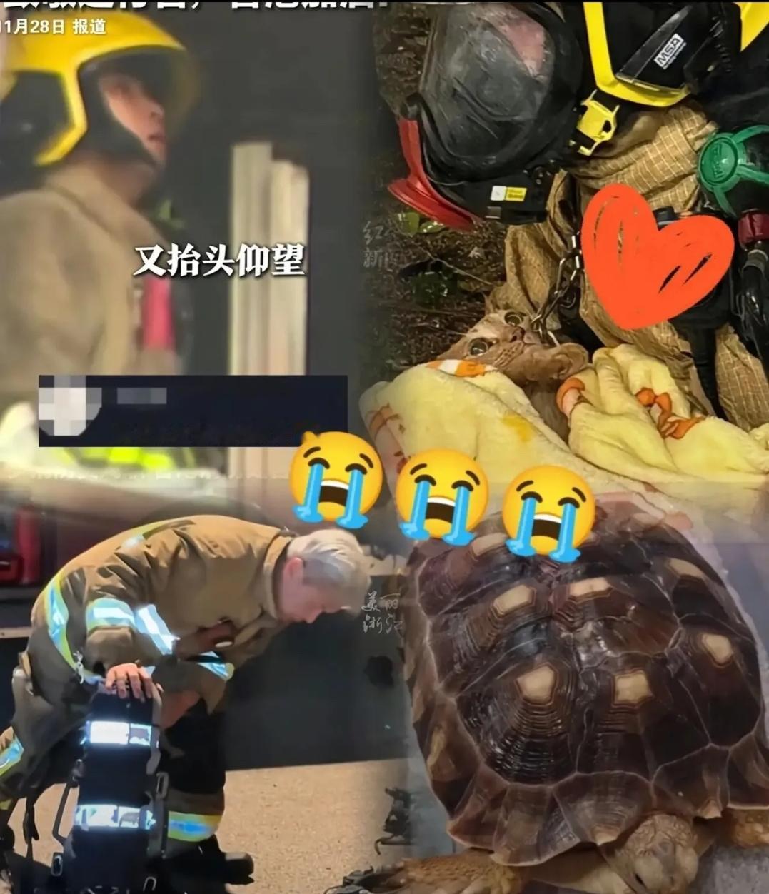 回家路上的平凡烟火，成了他们永远到不了的明天