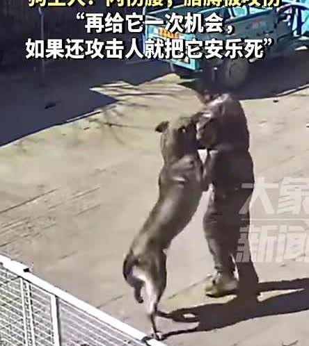 河北，一男子养了10年的狗，这天只因男子给了狗的腿上一脚，不料狗却突然恼羞成怒的
