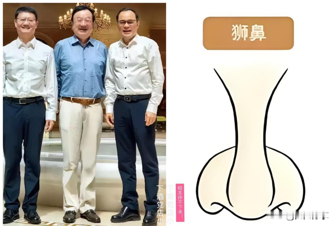 没想到,“狮鼻”竟被认为是富贵的象征!在传统面相学中,鼻子往往被视为财运的标