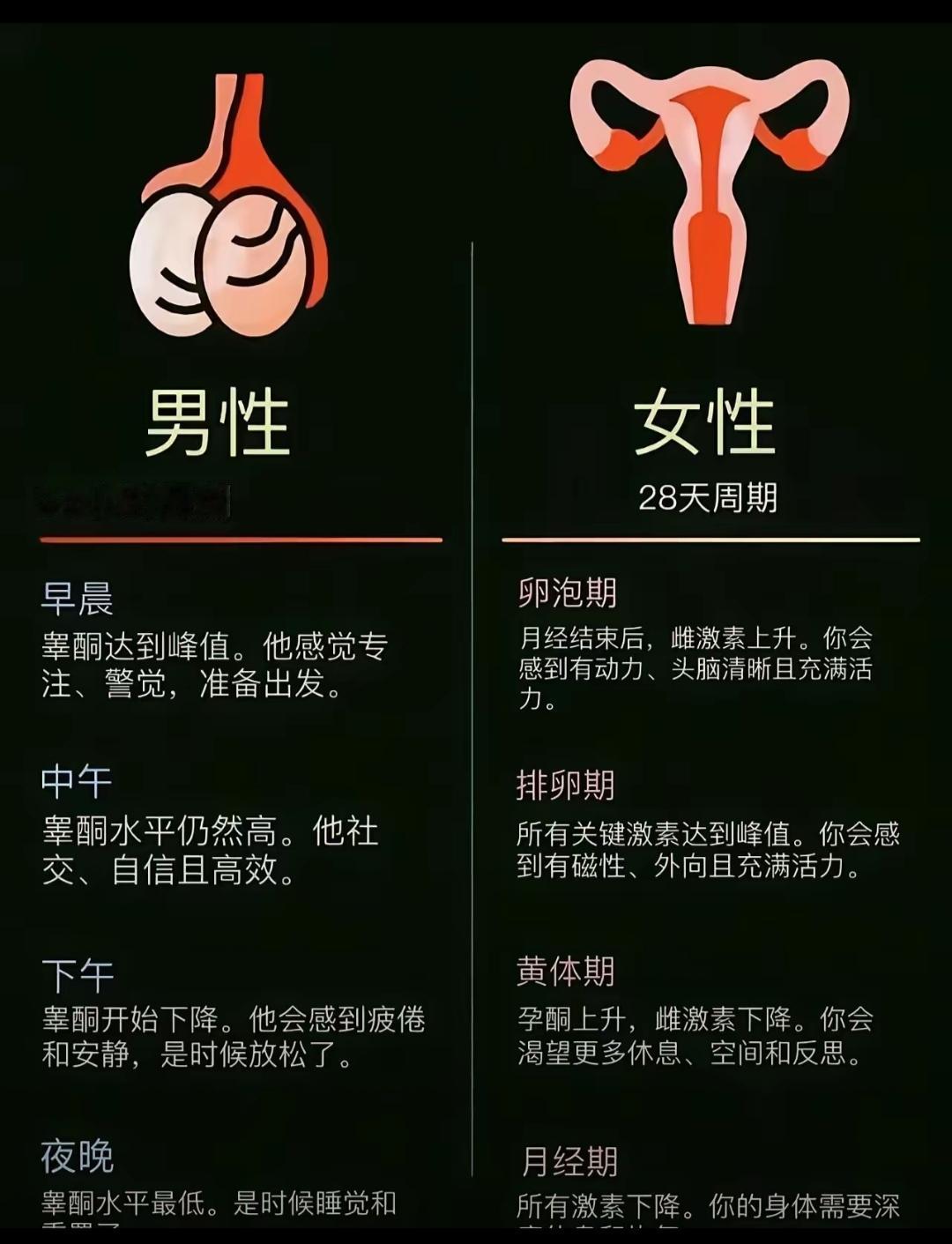 看完这张图~男性早晨精力充沛知道什么时候怀孩子最高效了吧