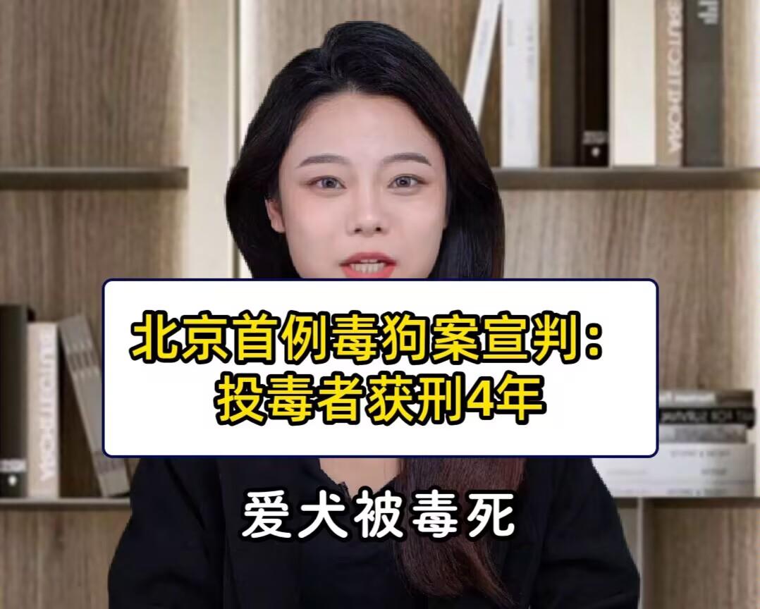 北京毒狗案判决引热议！多数人支持投毒入刑，但这一点争议最大！北京毒狗案尘埃