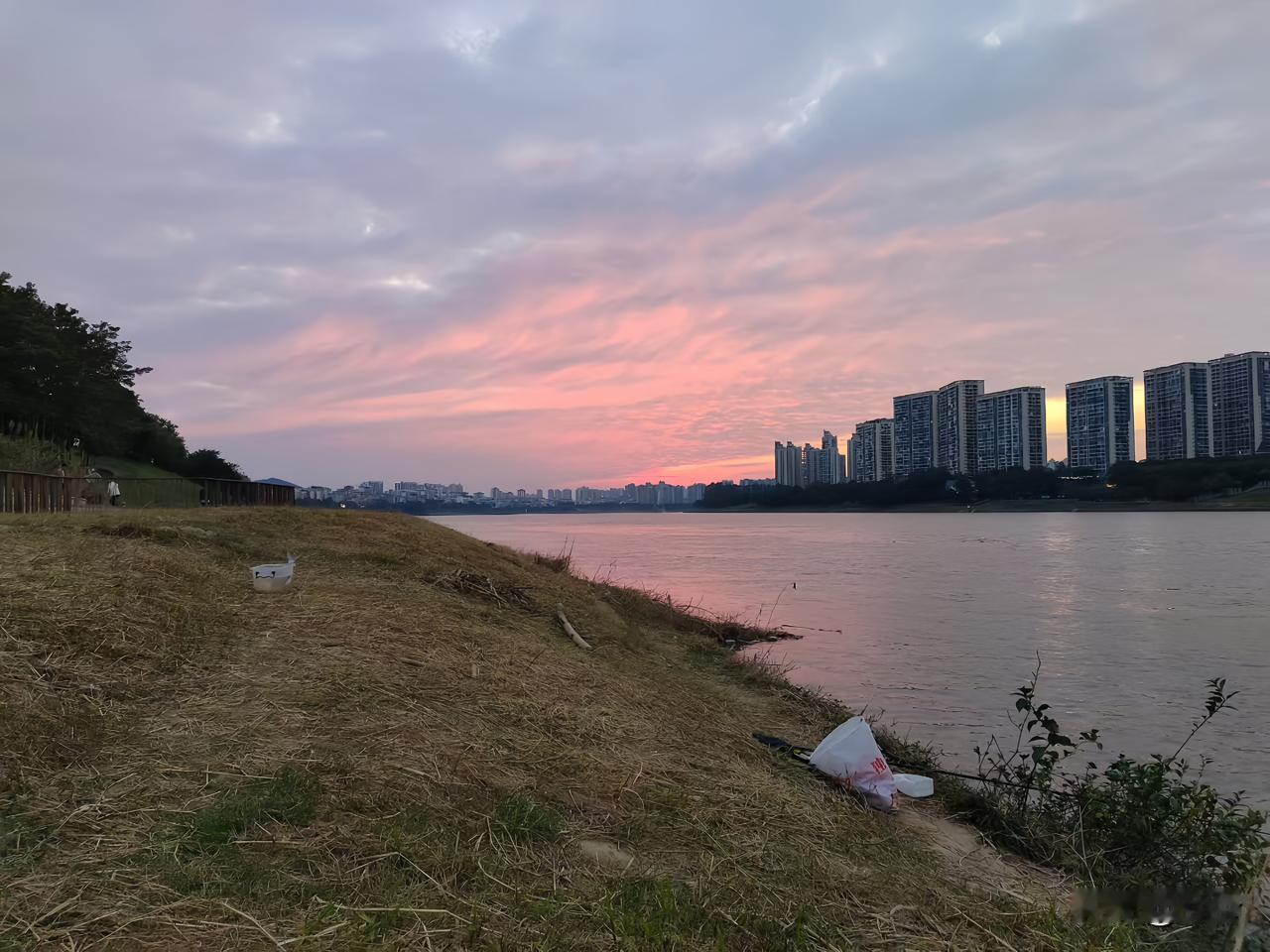 无心插柳的经典乌龙小时候我爸从别人家抱回一只小狗因为狗毛是黄色的而且还毛