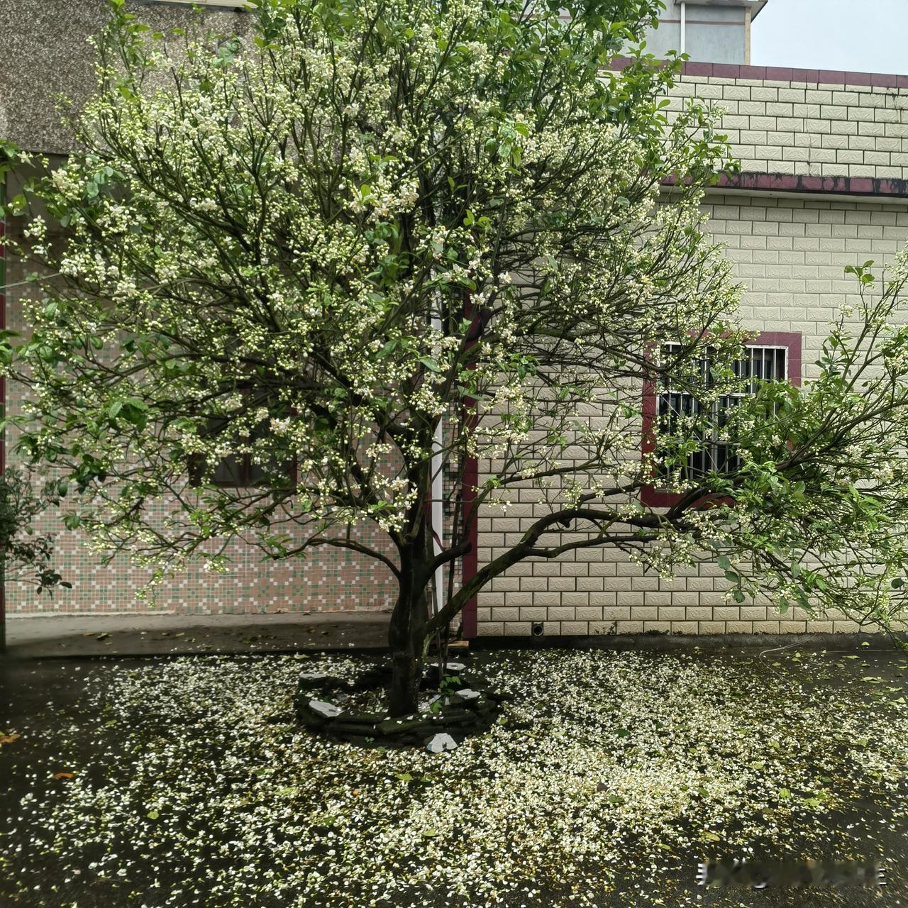 别让AI和海量信息，摘走你的“思考脑”！最近发现一个细思极恐的现象：市面