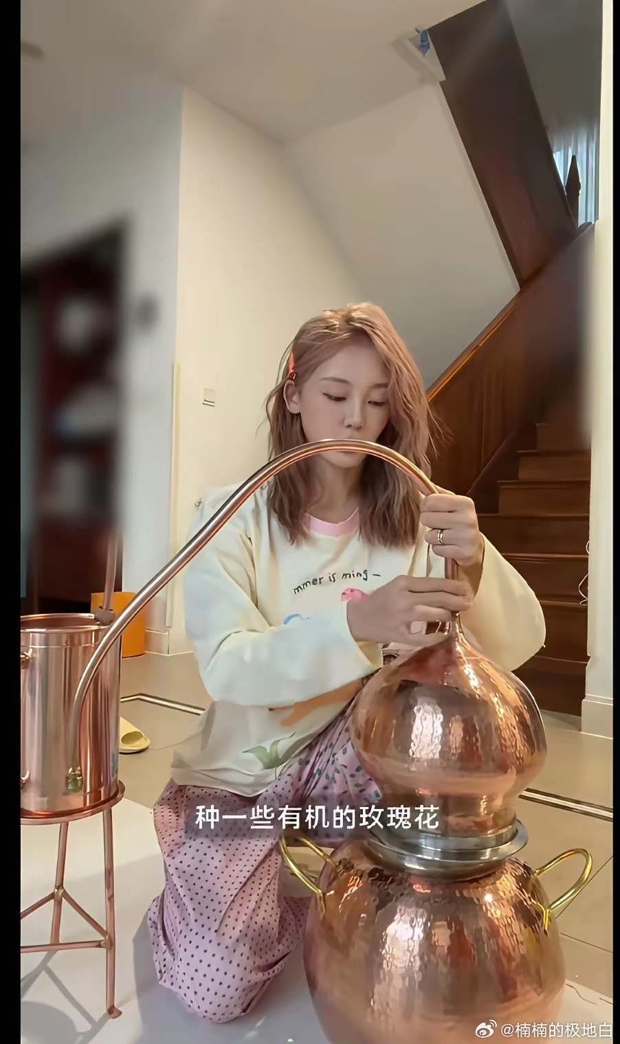 好家伙！苗苗，这样子，简直就是现实版的天山童姥。18岁的外表，操着80岁的心，说