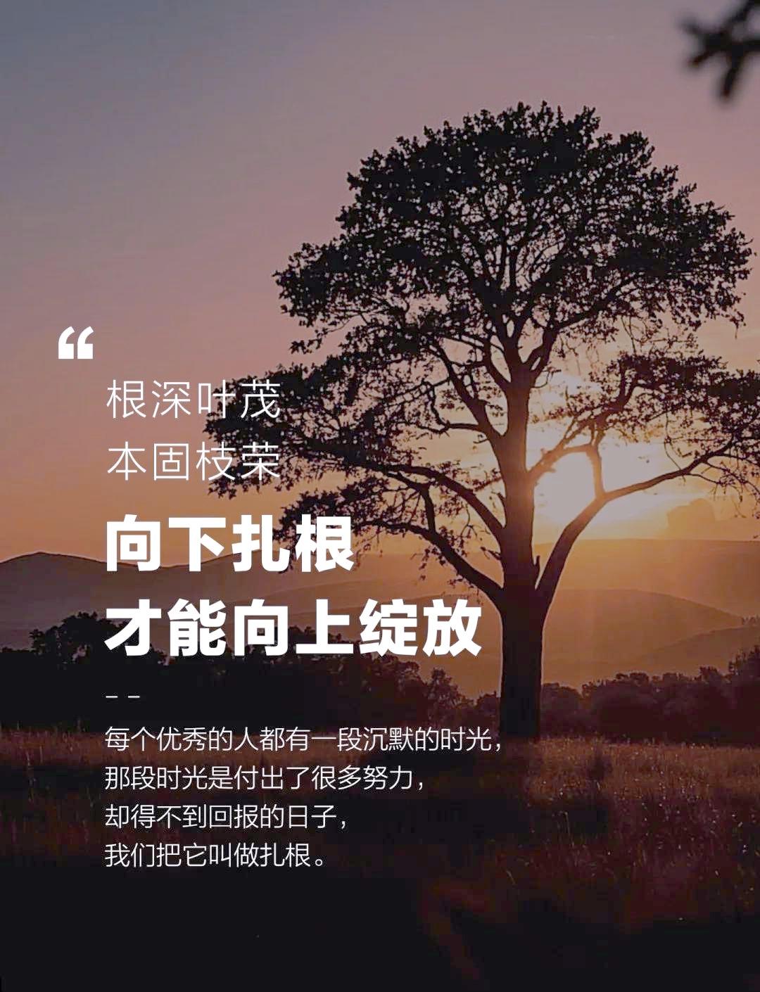 让从先秦诸子、何尊铭文到近现代的厚重历史，不再是书本里的冷知识点，而是能被大家亲