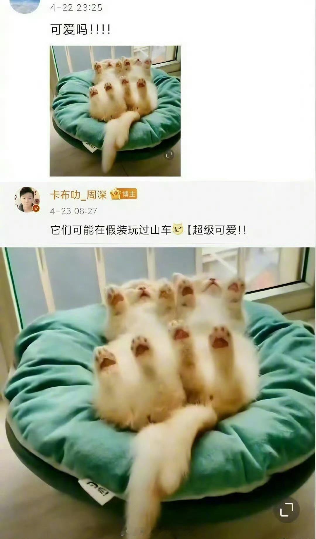 周深的回复是我的淡斑精华