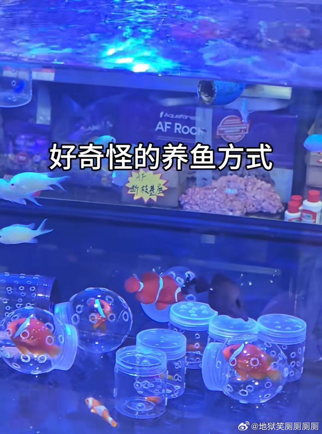 1311弥补了龙宫没有牢房的遗憾