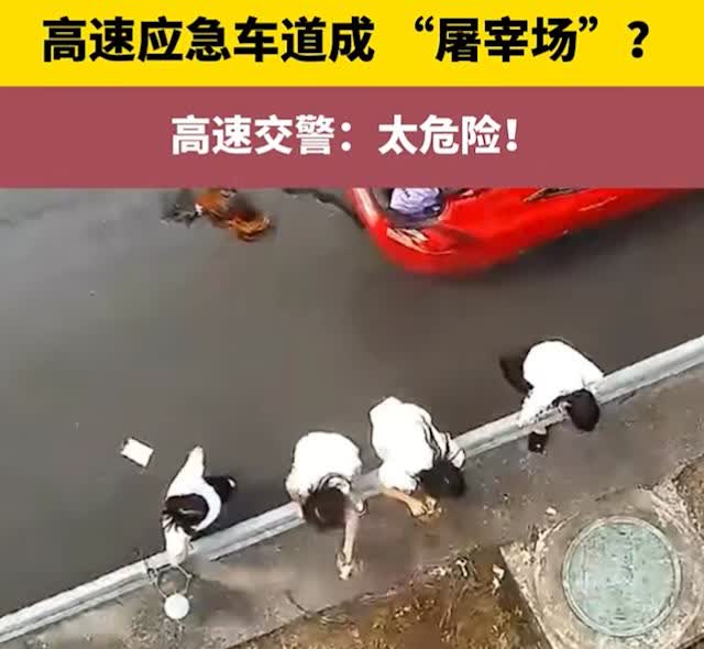 月3日，罗某和三个亲友从湖北老家开车去杭州上班，车上还带着老家的鸡和鸭。结果