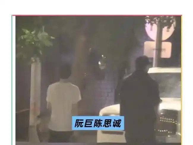 陈思诚与阮巨甜蜜聚餐后同返爱巢，四年恋情稳固如初，网友：这次是真的！​