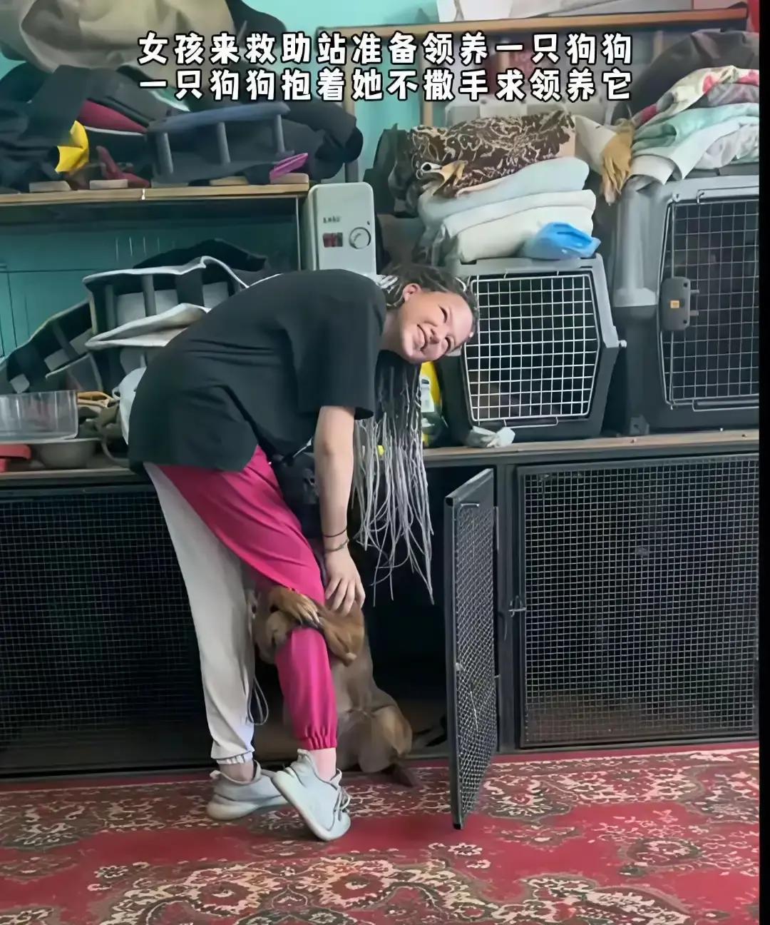 女孩去救助站想挑只小型犬，刚走到马犬笼子前，那只大狗猛地冲出来抱住她腿不撒手，头