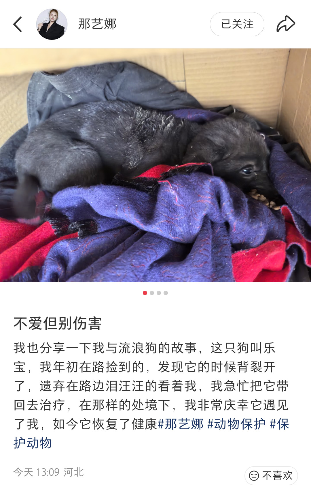 那艺娜为流浪动物发声:我也分享一下我与流浪狗的故事，这只狗叫乐宝，我年初在路捡到