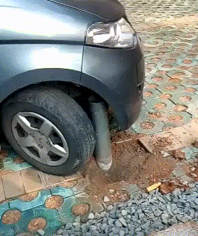 爆笑GIF: 妹子, 没事逗猪干嘛呢?