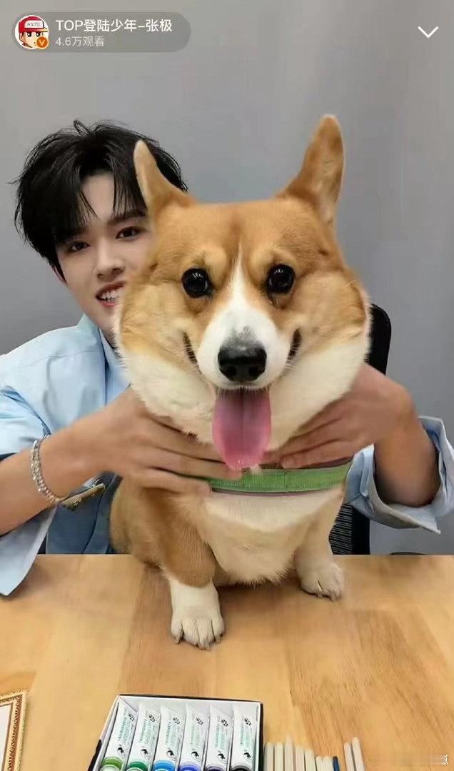 张极直播带狗张极带啵啵直播被张极和啵啵狠狠戳中！狗狗软萌听话，主人温柔帅气，直