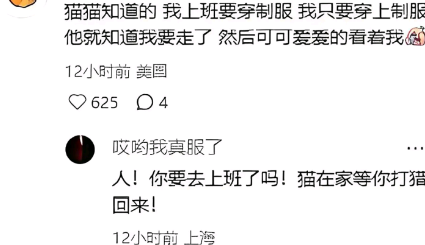 猫在家等你打猎回来