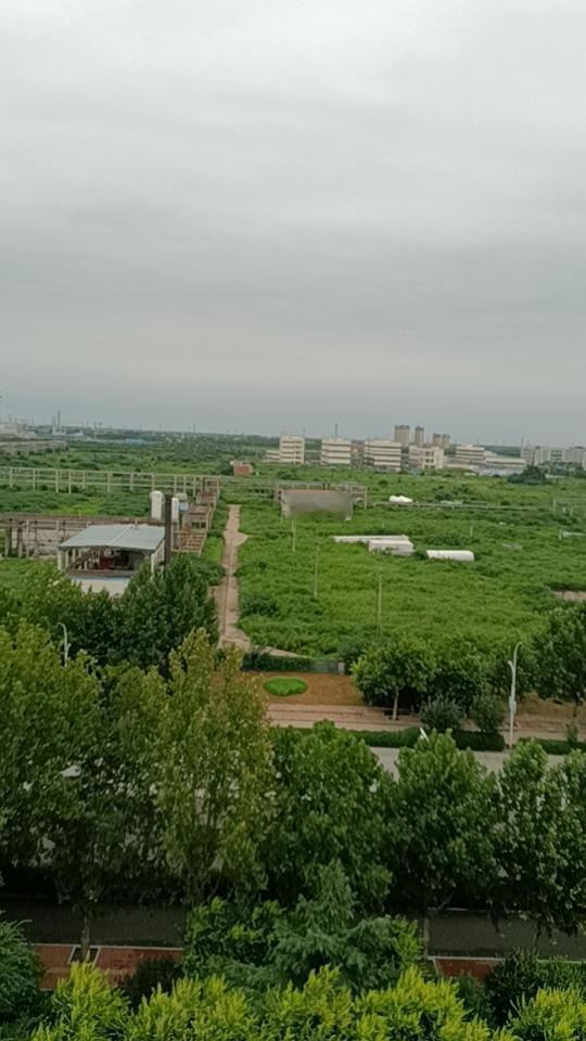 石家庄循环化工园区应该是石家庄化工制药企业最集中的区域。这个园区的企业大部分是过