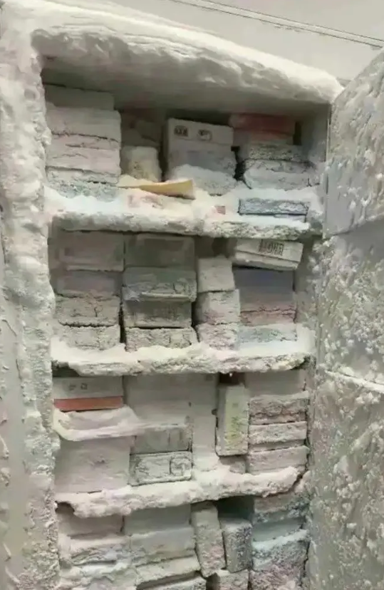 在黑龙江，冰箱忘通电了，啥情况啊！